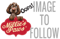 Millie's Paws Duck and Orange Pate 400g
